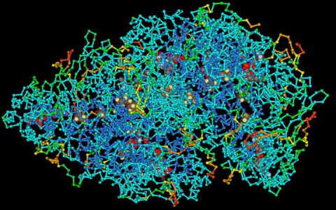 无所不在的高分子材料