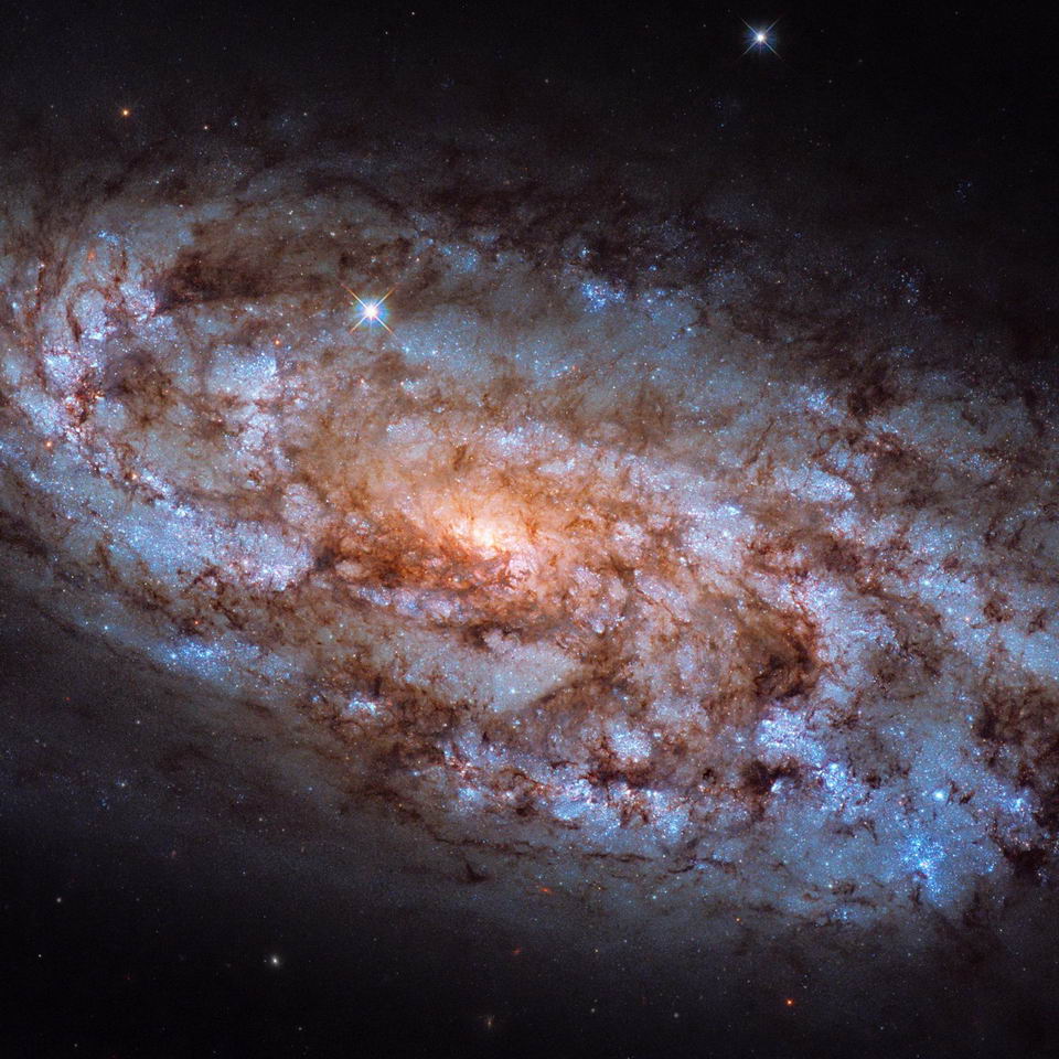 NASA / ESA哈勃太空望远镜拍摄的NGC 1792星爆星系。图片来源：ESA/Hubble & NASA, J. Lee,，致谢：Leo Shatz