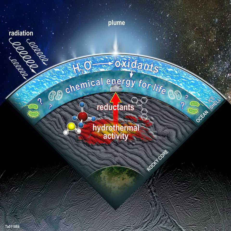 该图显示了土卫二的横截面，显示了科学家在土卫二中建模的一些发现。当水分子被辐射分解时，表层冰中产生的氧化剂可与热液活动和其他水-岩石反应产生的还原剂结合，从而为海洋中的潜在生命提供能源。