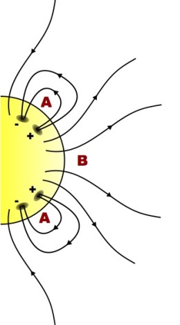 日冕洞（B）附近的磁场为开放向外。
