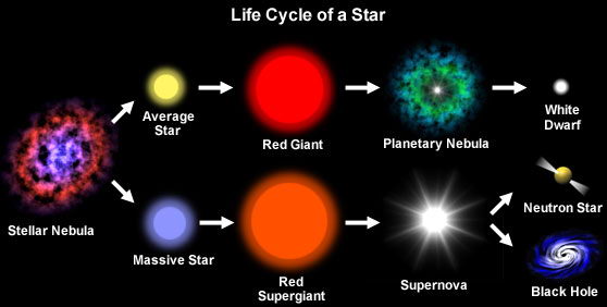 参宿四未来超新星爆发以后是变成黑洞还是中子星还是白矮星？