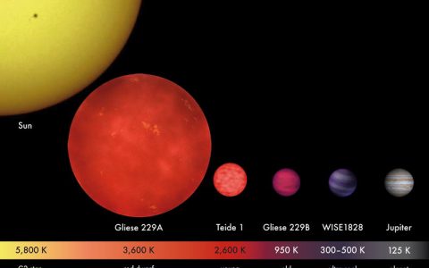 表面温度只有25℃的Y型褐矮星