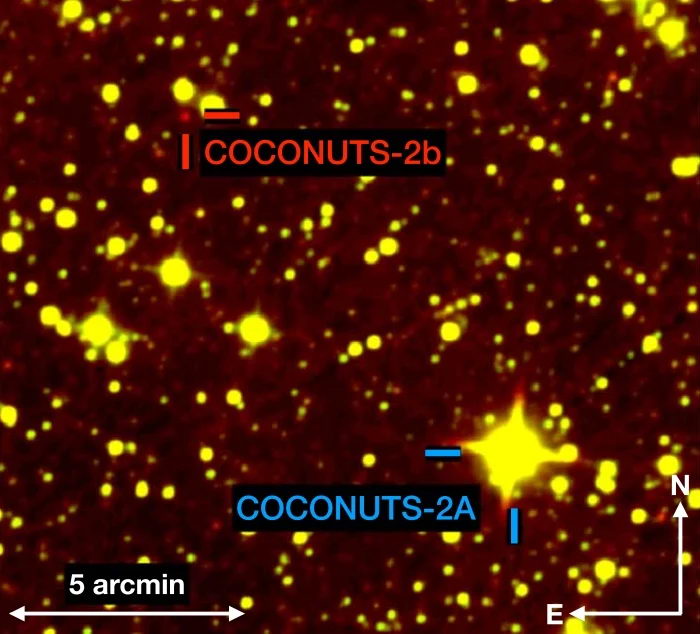 COCONUTS-2b：第二冷系外行星，距离恒星轨道6000个天文单位