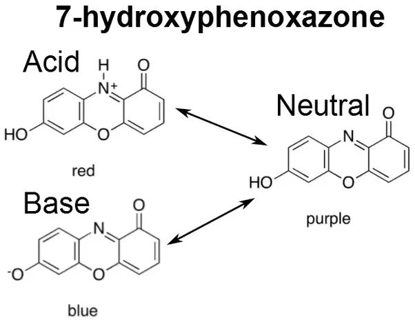 C12H8NNaO2酸碱度测量变化