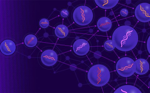 试管中的RNA分子自主进化出了一个复杂微型“生态系统”