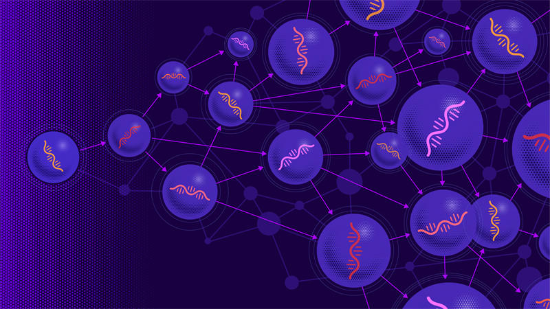 试管中的RNA分子自主进化出了一个复杂微型“生态系统”