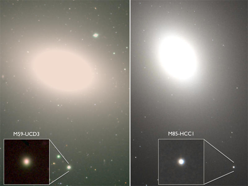 M59-UCD3和M85-HCC1都是恒星密度极高的超致密矮星系