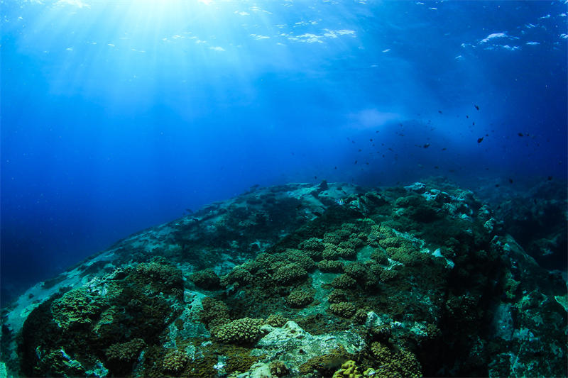 海底风化发生在深海之中