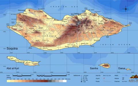 索科特拉岛：传说中是地球上最像外星球的地方