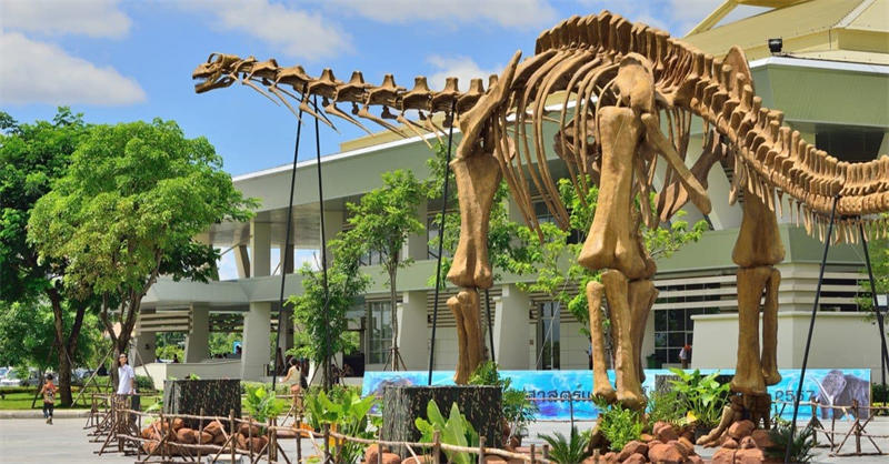 阿根廷龙（Argentinosaurus）图片