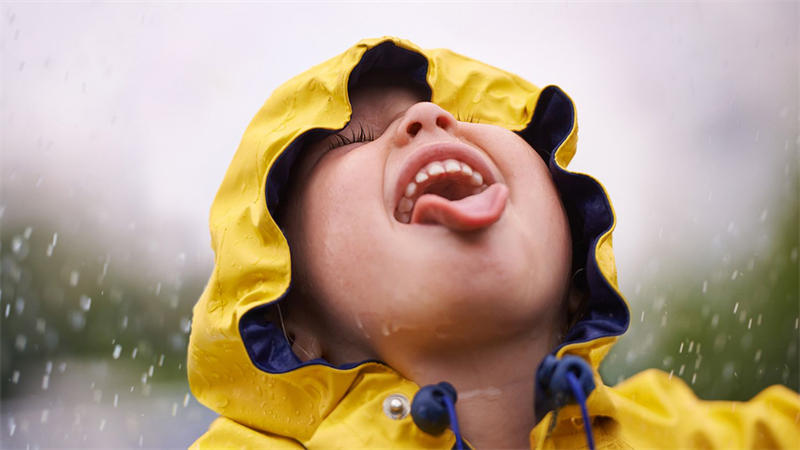 喝雨水也许并不是一个安全的行为