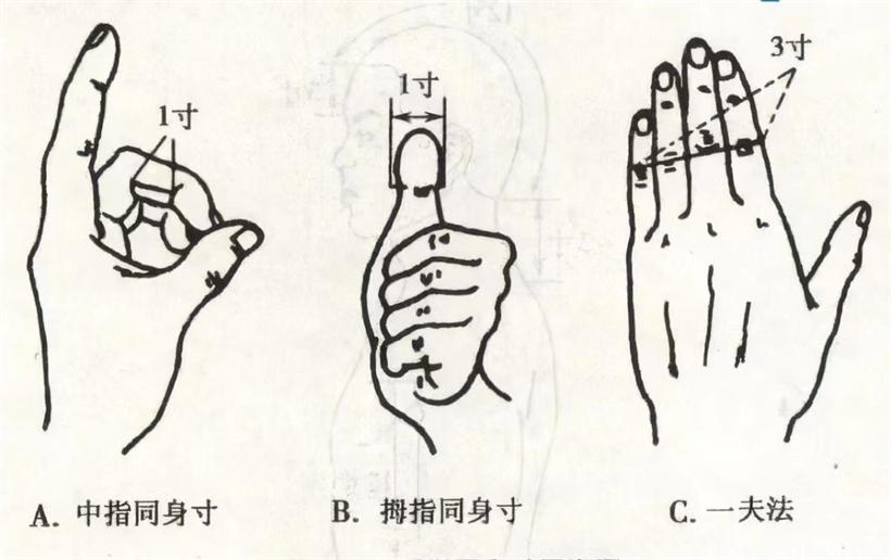 一寸等于多少厘米？