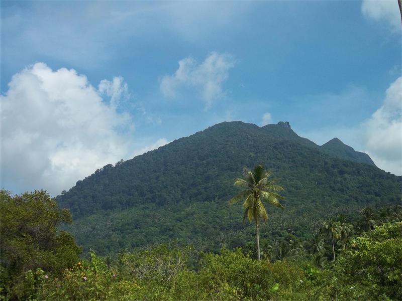 大纳土纳岛上的最高峰，海拔1035米